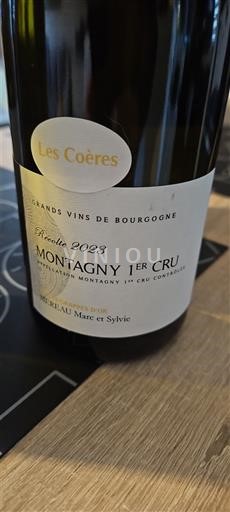 Bourgogne Ikke specificeret Premier Cru Mereau Marc et Sylvie Les Coères 2023