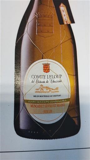 Thung lũng sông Loire Muscadet Sèvre et Maine Domaine Chéreau Carré Château Chasseloir Comte Leloup 2019