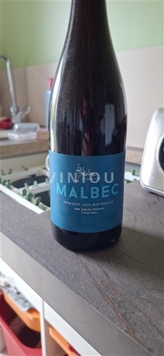 Vallée de la Loire Saumur Domaine Des Roches Neuves Fabien Malbec 2021