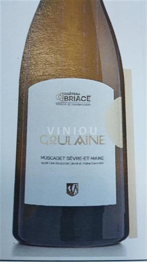 Valle della Loira Muscadet Sèvre et Maine Château Briacé Goulaine 2022