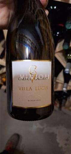 Languedoc Minervois Domaine Caïlhol Gautran Villa Lucia 2017