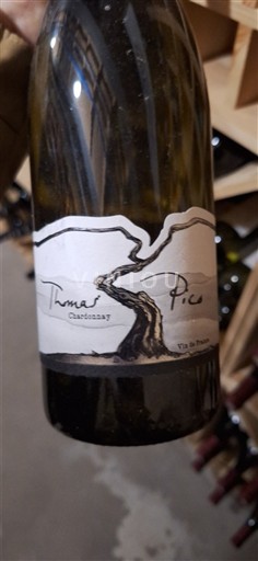 Sydväst Sudvästra Frankrike Thomas Pico Icke årgångsbetecknad