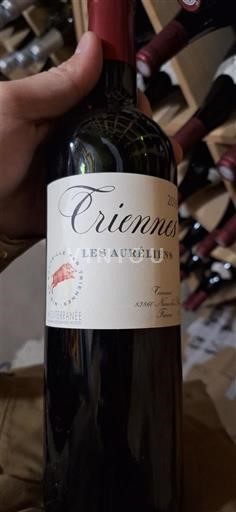 Provence, Lage Rhône-vallei, Corsica Middellandse Zee Triennes Les Auréliens 2016