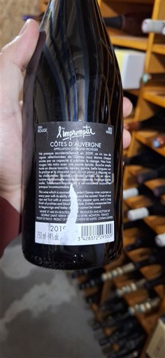 Údolí Loiry Côtes d'Auvergne Desprat Saint Verny L'impromptu 2019