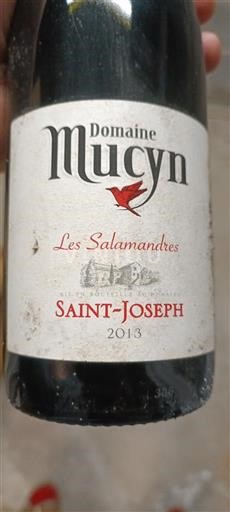 Vallée du Rhône Saint-Joseph Domaine Mucyn Les Salamandres 2013