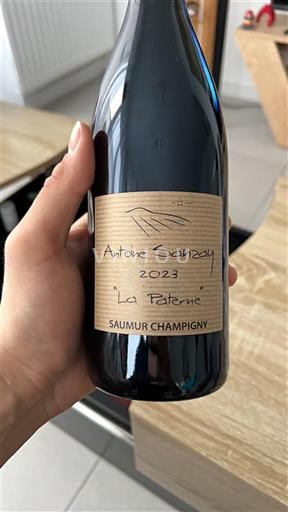 Thung lũng sông Loire Saumur-champigny Antoine Sanzay La Paterne 2023