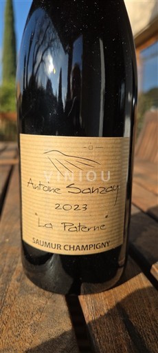 Loiredalen Saumur-champigny Antoine Sanzay La Paterne 2023