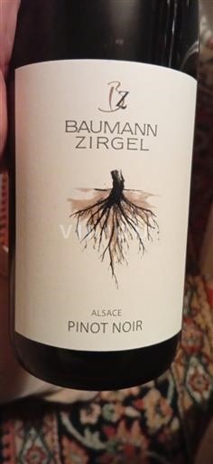 Alsace Baumann-Zirgel 2023