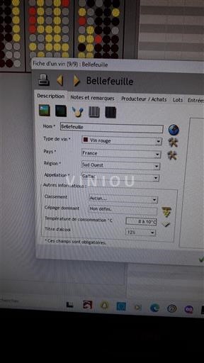 Sudoeste Gaillac Bellefeuille 1994