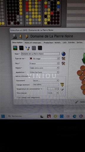 Valle della Loira Côtes-du-forez Domaine La Pierre Noire 2019