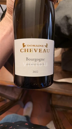 Burgundi Bourgogne Domaine Cheveau Les Boutillets 2022