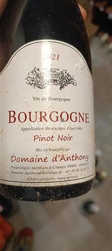 Burgundy Domaine Anthony Pinot Noir 2021