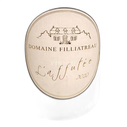 Valle del Loira Saumur-Champigny Domaine Filliatreau 2010