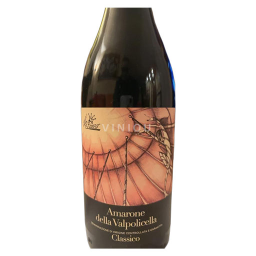 Vénétie Amarone della Valpolicella Terre di Leone Amarone 2017