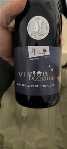 Thung lũng sông Loire Saint-Nicolas-De-Bourgueil Mabileau La Belle du Domaine 2024