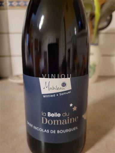 Vallée de la Loire Saint-Nicolas-De-Bourgueil Mabileau La Belle du Domaine 2024