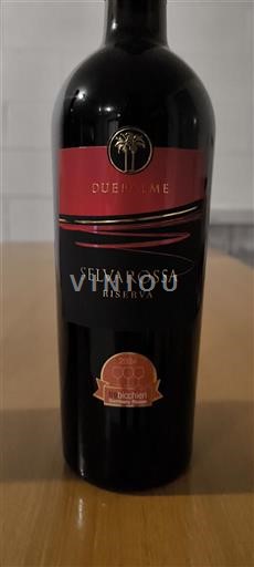 Puglia Salice Salentino Due Palme Selvarossa Riserva 2020