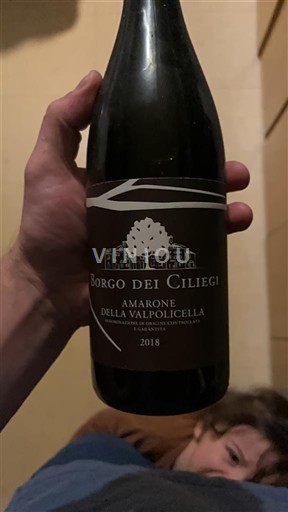 Veneto Amarone della Valpolicella Borgo dei Ciliegi 2018