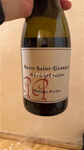 Bourgogne Nuits-saint-georges Premier Cru Philippe Pacalet 1er Cru Aux Argillas 2016