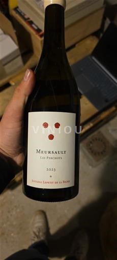 Borgogna Meursault Antoine Lepetit de la Bigne Les Perchots 2021