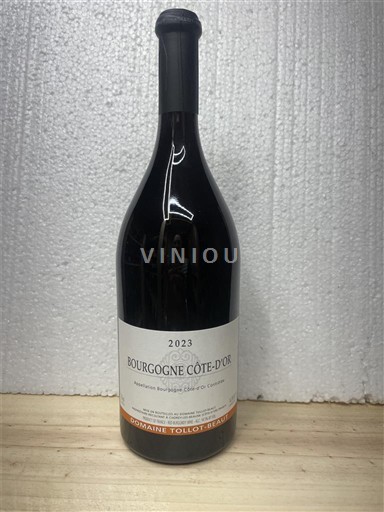 Bourgogne Bourgogne Côte d'Or Domaine Tollot-Beaut 2023
