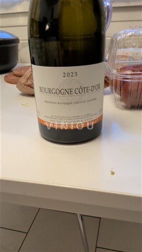 Vini Rouge sec Domaine Tollot-Beaut 2023 Francia Borgogna Borgogna Côte d'Or AOC