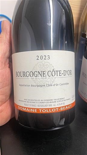 Bourgogne Bourgogne Côte d'Or Domaine Tollot-Beaut 2023