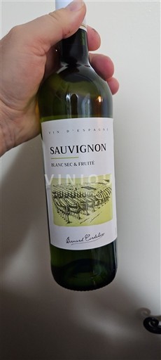 Zuidwest-Frankrijk Niet gespecificeerd Bernard Cazade Niet-geïntegreerd