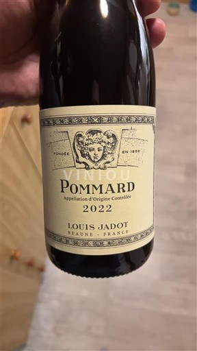 Burgundi Pommard Louis Jadot 2022