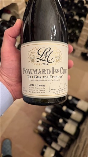 Bourgogne Ikke specificeret Premier Cru Lucien Le Moine Les Grands Epenots 2015