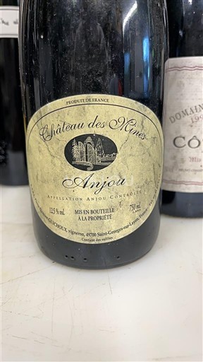 Údolí Loiry Anjou Château Des Mûres Neročník