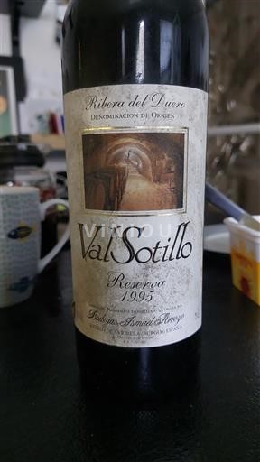 Castilien og León Ribera del Duero Val Sotillo Reserva 1995