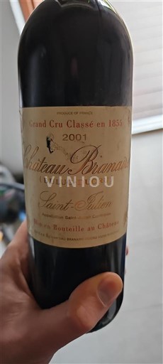 Burdeos Saint-Julien Grand Cru Château Branaire-Ducru 2001