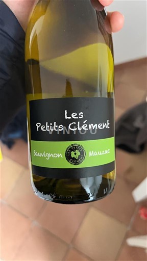 Southwest Côtes de Gascogne Les Petits Clément 2024