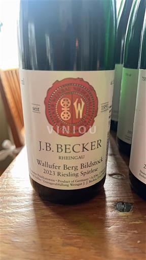 Rheingau J.B. Becker Wallufer Berg Bildstock 2023
