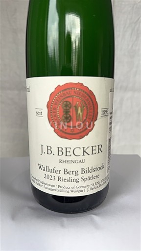 Rheingau J.B. Becker Wallufer Berg Bildstock 2023