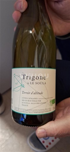 Languedoc a Roussillon Katalánská pobreží Le Soula Trigone Neročník