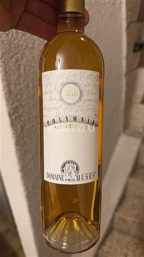 Valais Không được chỉ định Domaine Des Muses Polymnie Sélection Or 2018