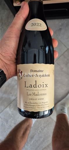 Borgonha Ladoix Domaine Cachat-Ocquidant Les Madonnes Vieilles Vignes 2022