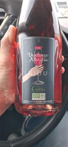 Savoja in Bugej Bugey-Cerdon Cerdon Vendange Meryem Neleten.