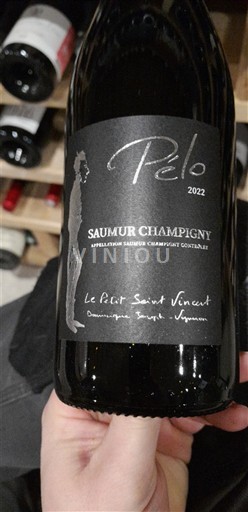 Loirevallei Saumur-champigny Le Petit Saint Vincent Pélo 2022