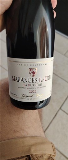 Borgonha Maranges Premier Cru Gérard Boyer La Fussière 2022