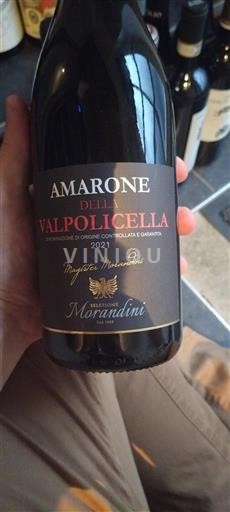 Veneto Amarone della Valpolicella Morandini Magister Morandini 2021