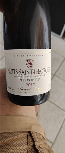 Borgonha Nuits-Saint-Georges Gérard Boyer Les Poisets 2017