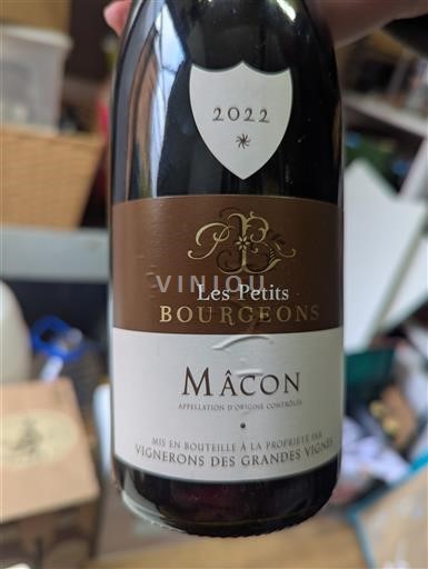 Bourgondië Mâcon en mâcon-dorpen Vignerons des Grandes Vignes Les Petits Bourgeons 2022