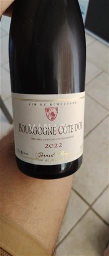 Burgundy Burgundy Côte d'Or Gérard Béc 2022