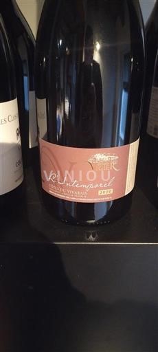 Thung lũng Rhône Côtes-du-vivarais Domaine Vigier L'Intemporel 2020