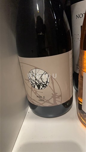 Vallée de la Loire Saumur-champigny Domaine Des Roches Neuves Pur C. 2023