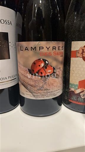 Languedoc og Roussillon Catalansk skråning Lampyres Des Sens 2021