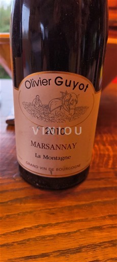 Borgogna Marsannay Olivier Guyot La Montagne 2010